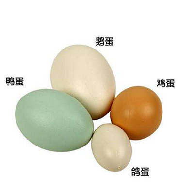 畜蛋類(lèi)
