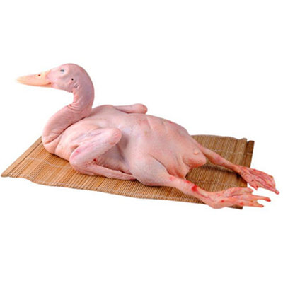 仔鴨